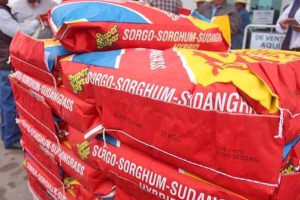 Aprueban subsidio para suplemento alimenticio