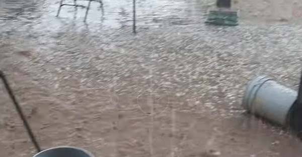 Sin afectación por granizada