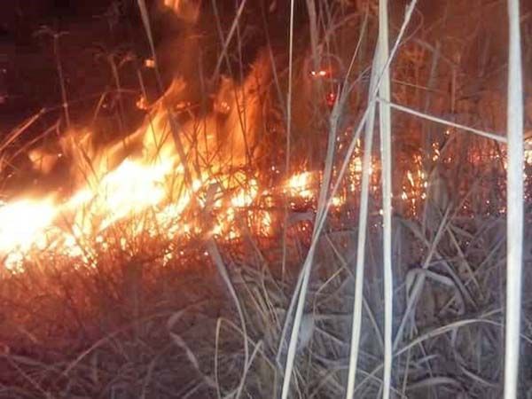 Atiende Bomberos 4 incendios diarios