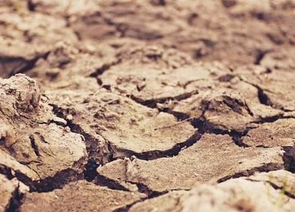 Pero benefician al campo de la región