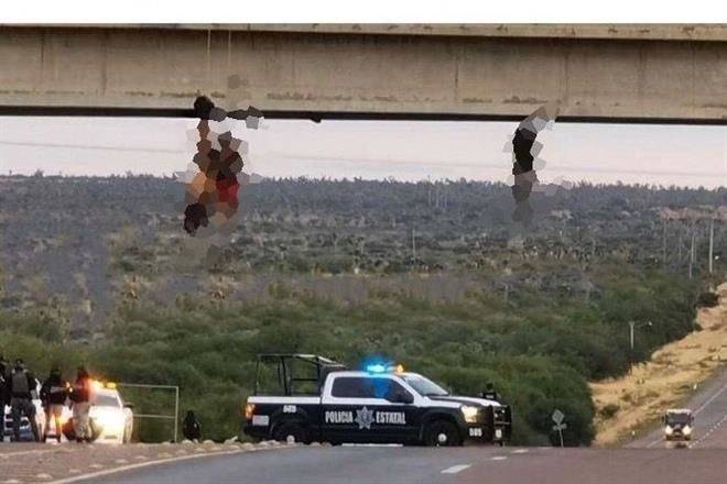 Cuelgan tres cuerpos en puente de Zacatecas