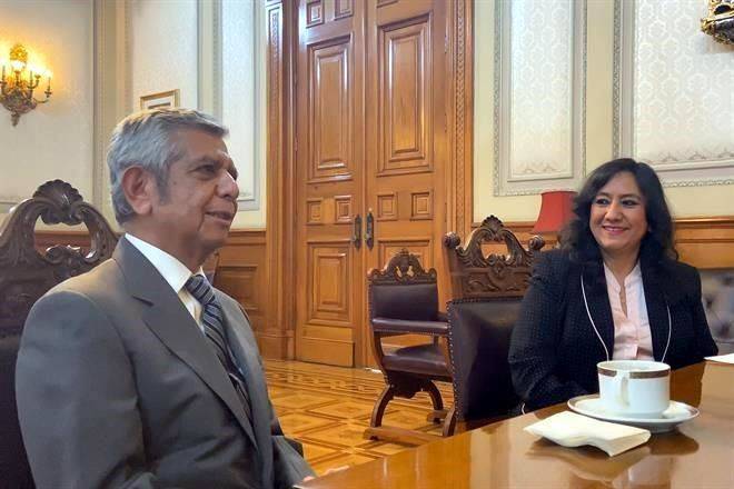 Relevan a Irma Sandoval de SFP