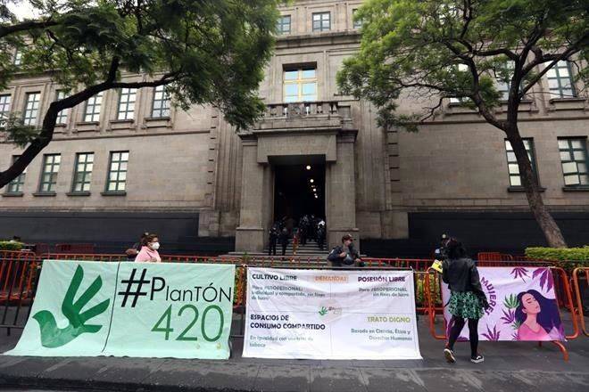 Generaliza SCJN permisos para consumo recreativo de cannabis