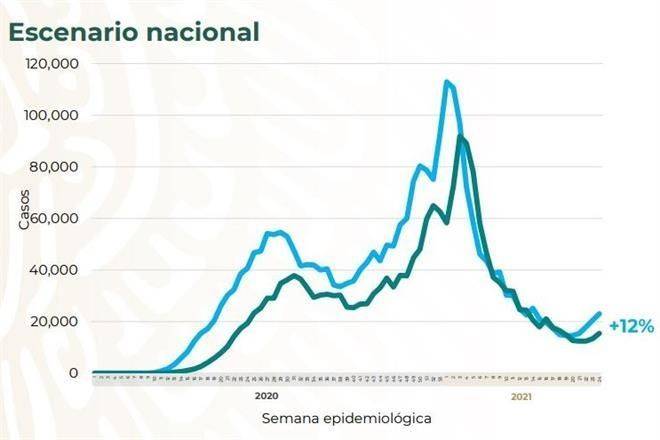 Reporta Ssa 44 muertes más por Covid; suman 232 mil 608