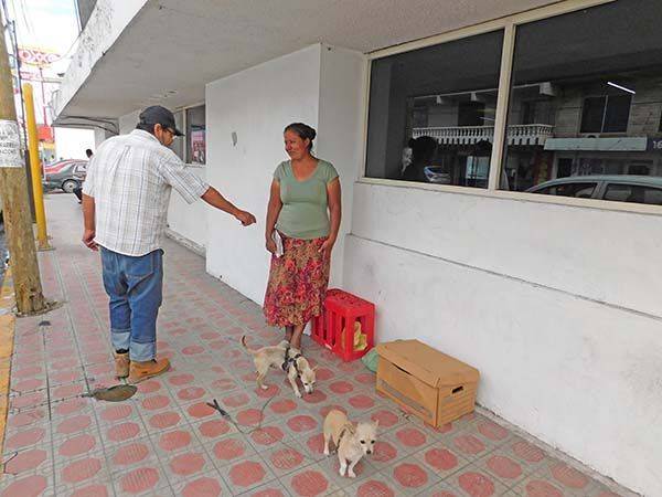 Vive en las calles sólo con Roby y Campanita