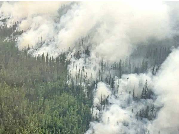 Incendios forestales arrasan con miles de hectáreas en Siberia