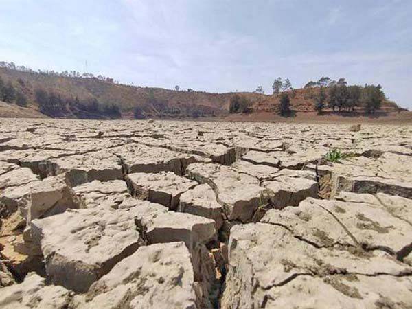 La sequía devora 950 municipios; el noroeste, el más dañado