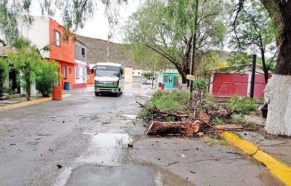 Caos y destrozos por intensa lluvia