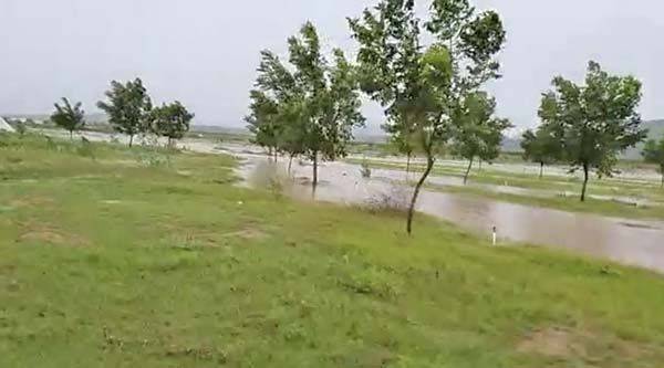 Favorece lluvia a la zona rural
