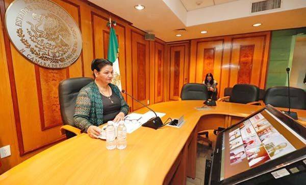 Rechaza presidenta de Diputados desaparición de plurinominales