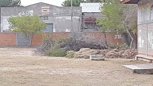 Alistan y embellecen escuelas en Sabinas