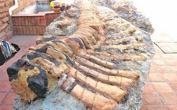 Descubren nueva especie de dinosaurio en Coahuila