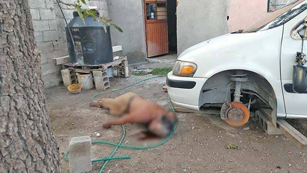 Lo encuentran sin vida en patio de su vivienda