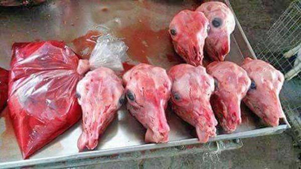 Dará respiro Día del Padre a productores