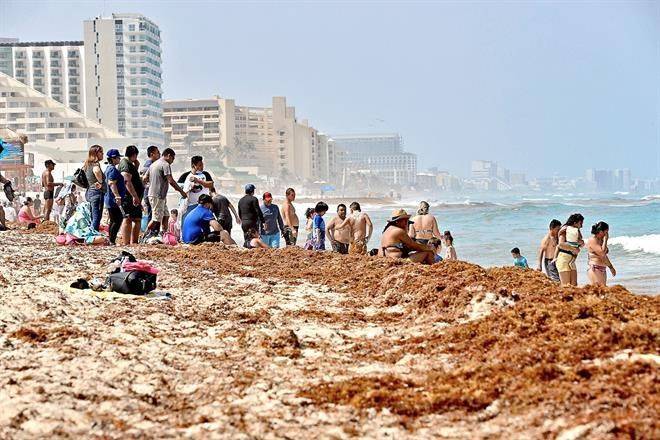 Afecta a turistas nivel récord de sargazo