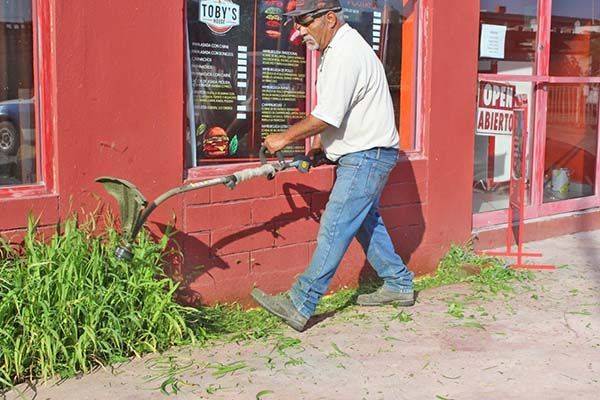 Arrancan la campaña ‘Castaños Más limpio’