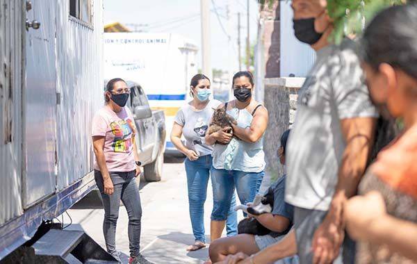 Exitosa campaña de protección a mascotas