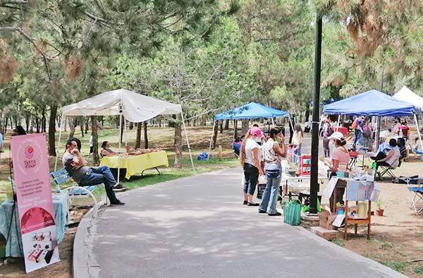 Elabora Coahuila productos amigables con el ambiente