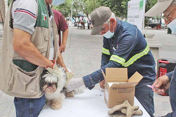 Vacunará San Buena a mascotas de ejidos
