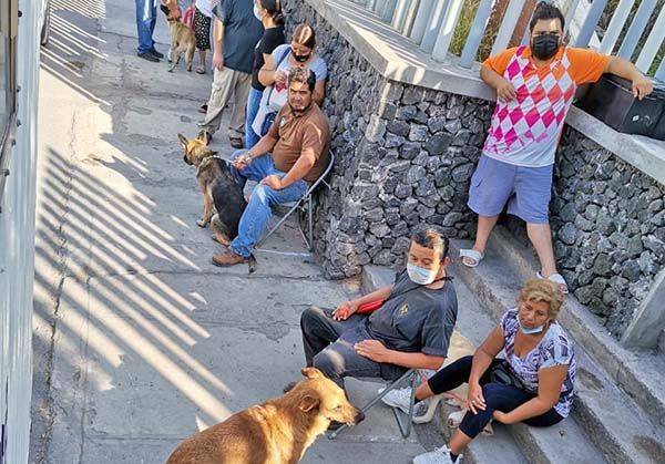 Llevarán brigada para mascotas a Las Flores