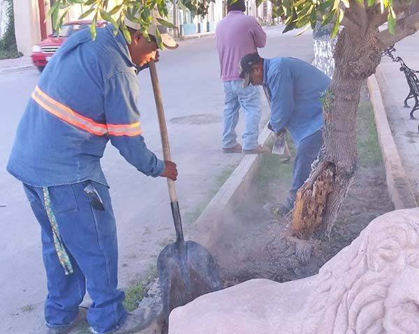Limpian avenida Magisterio en SB