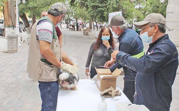Continúa SB campaña canina casa por casa