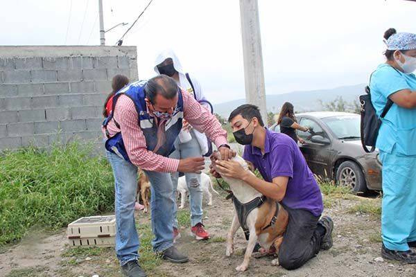 Trasladan a Colinas brigada de mascotas