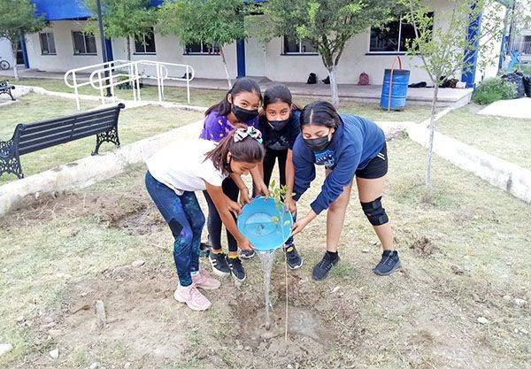 Reforestan el Cedif Sur