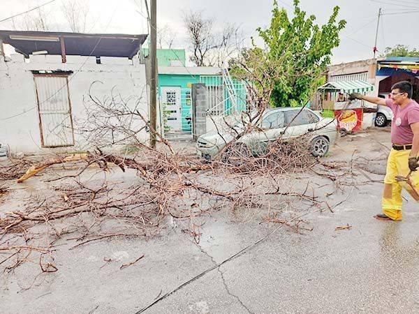 Derriba la tormenta árboles y cableado