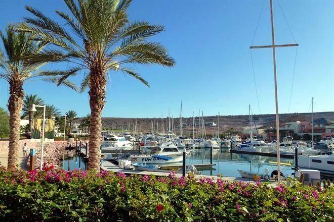 Van Gobernadores electos de Morena por crucero de la 4T