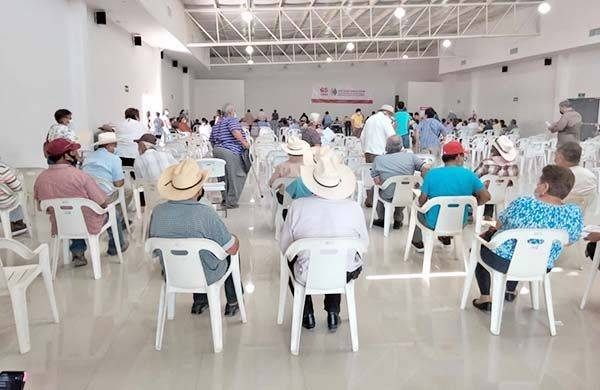 Registran a 460 para la Pensión Bienestar