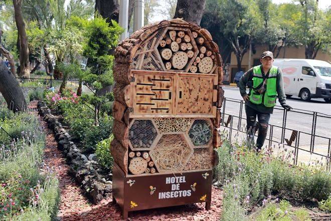 Colocan hoteles en Xoco…¡para insectos y aves!