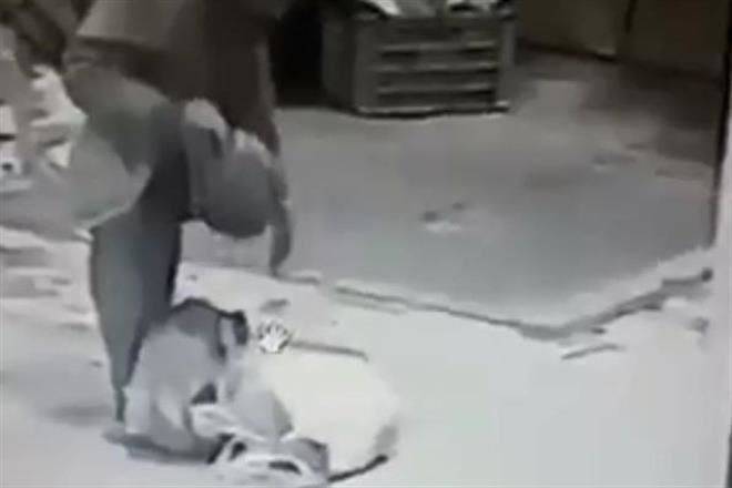 Pasea en Puebla con cabeza humana en mochila