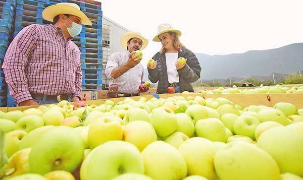 Promueve Turismo Ruta de la Manzana