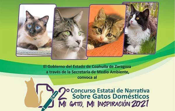 Invitan a concurso estatal de narrativa