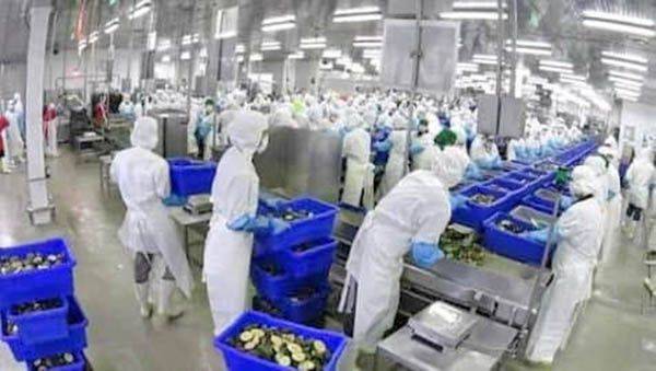 Maquina amputa dedos a operador