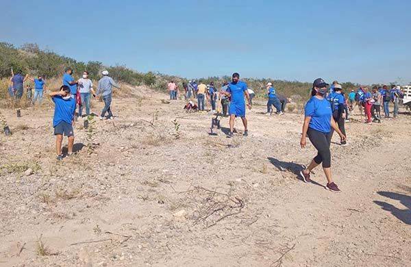 Se suma GIMSA a plantar árboles