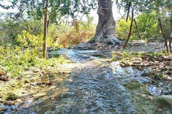 Explotación de mina amenaza a manantial