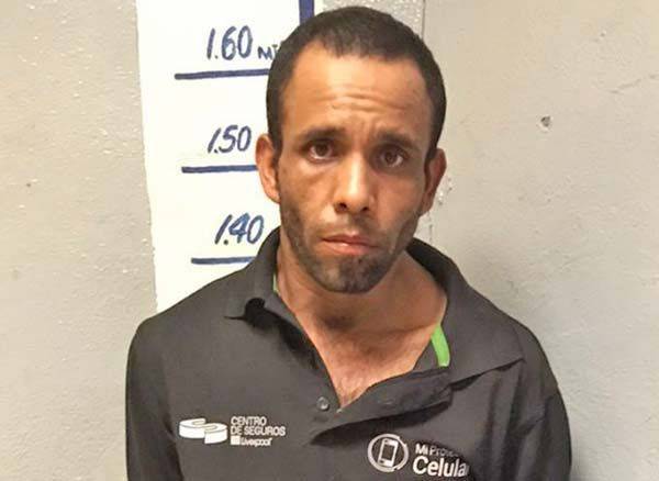 Cae solitario ladrón