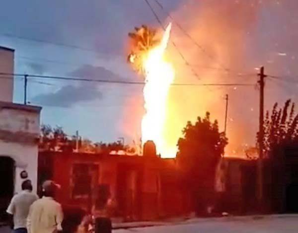 Cae rayo en palmera