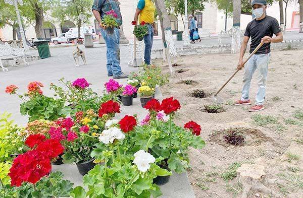 Embellece Gladys el Centro Histórico