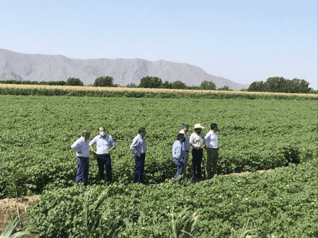 ANALIZAN EXPLOTACIÓN DE GOMA GUAR COMO CULTIVO ALTERNATIVO EN COAHUILA