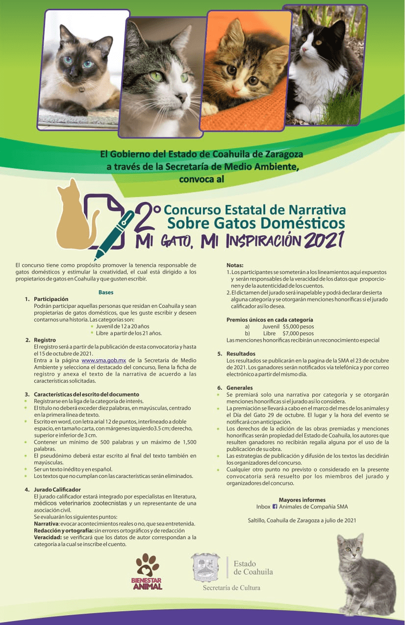 INVITA COAHUILA A CONCURSO ESTATAL DE NARRATIVA ‘MI GATO, MI INSPIRACIÓN’