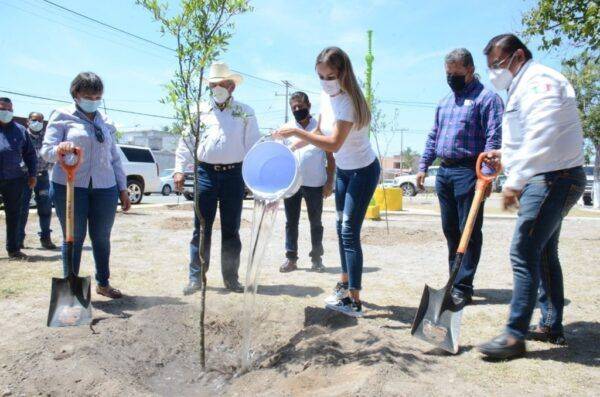Multiplican apoyos Senadora y Alcalde
