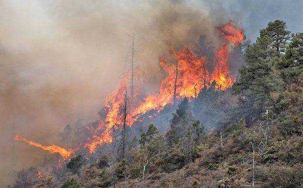 Urgen recursos ante incendios forestales