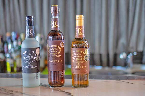Coahuila es referente en producción de Sotol