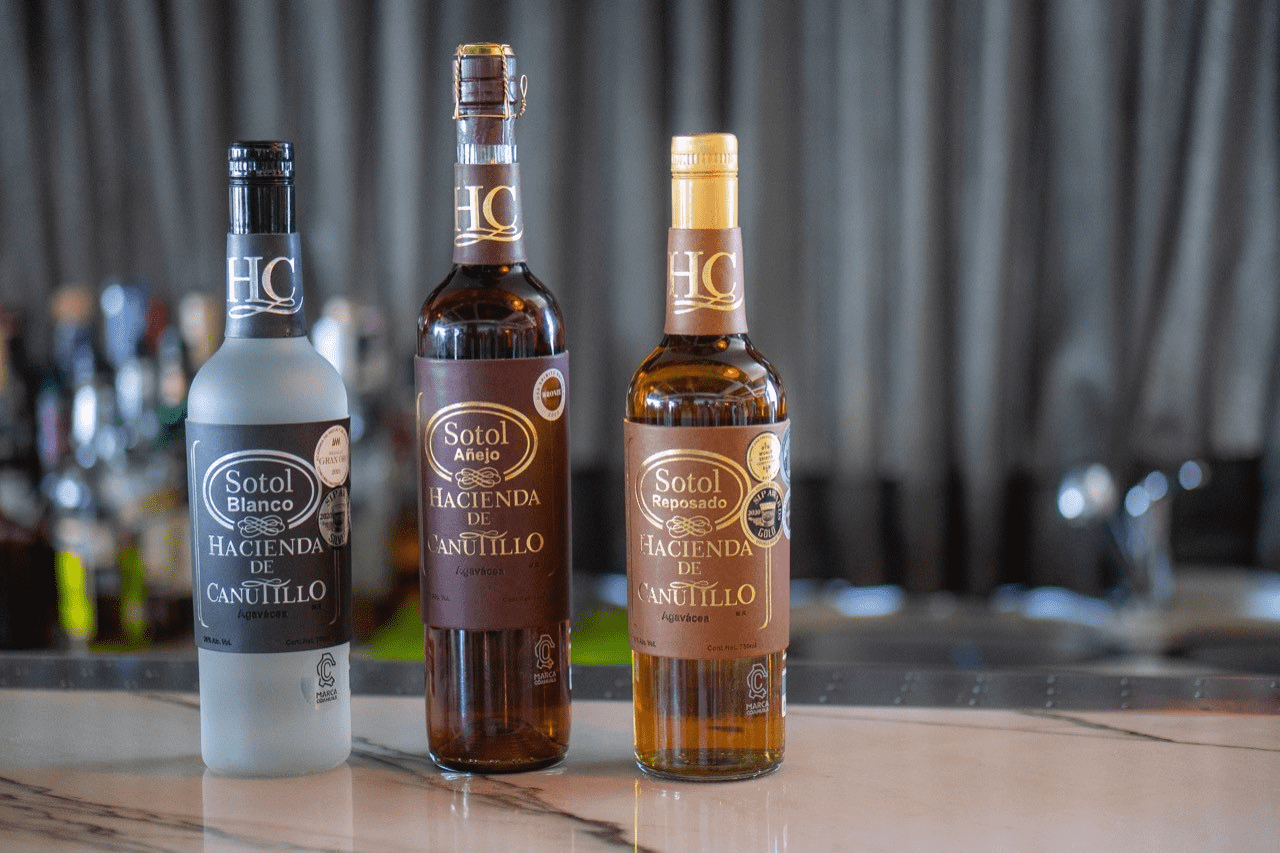 COAHUILA ES REFERENTE EN LA PRODUCCIÓN DE SOTOL
