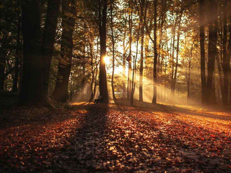 Equinoccio de otoño: ¿por qué cambia de fecha cada año?