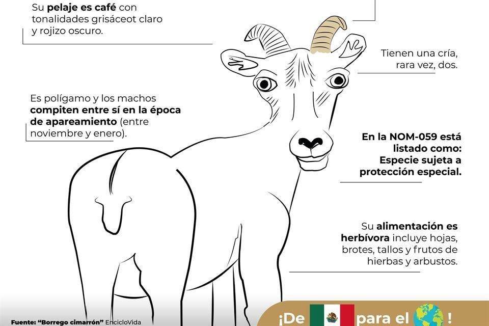Desatan burlas infografías de Profepa sobre animales