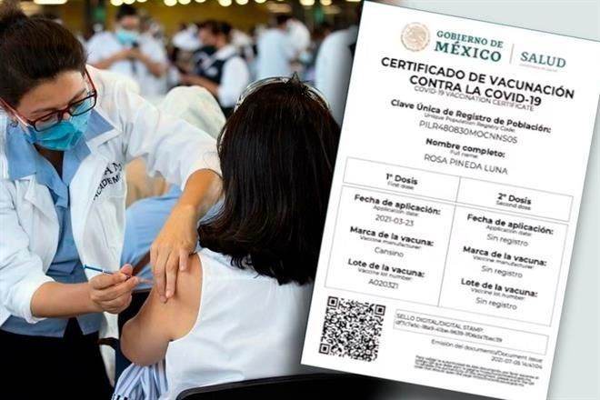 Batallan para obtener certificado de vacuna